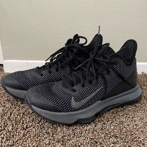 Nike Colab Lebron basketball shoes with lion